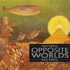 Opposite Worlds